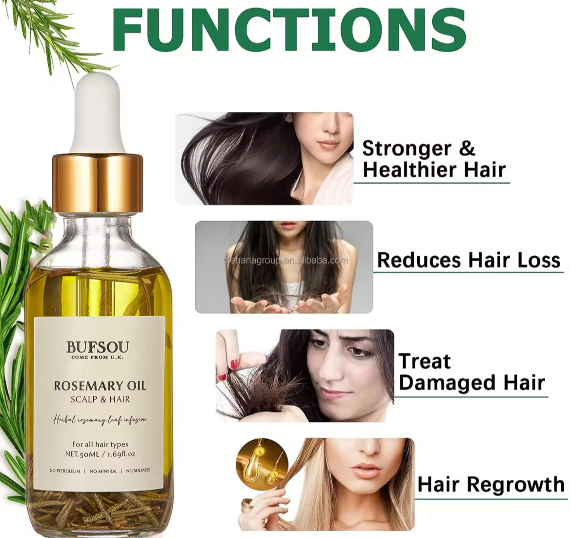 Novo Botanics™ Rosemary Infusion